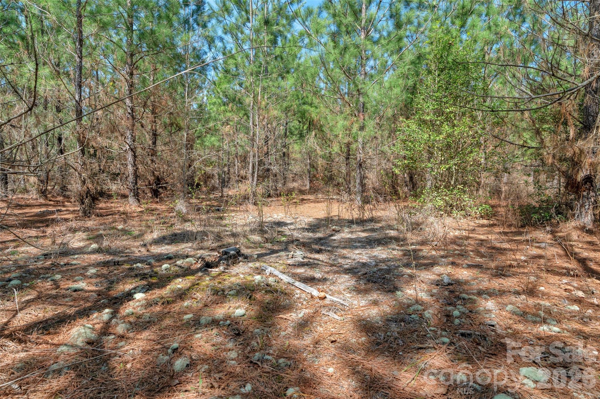 931 Charlie Johnson Road 8 Property Photo 27