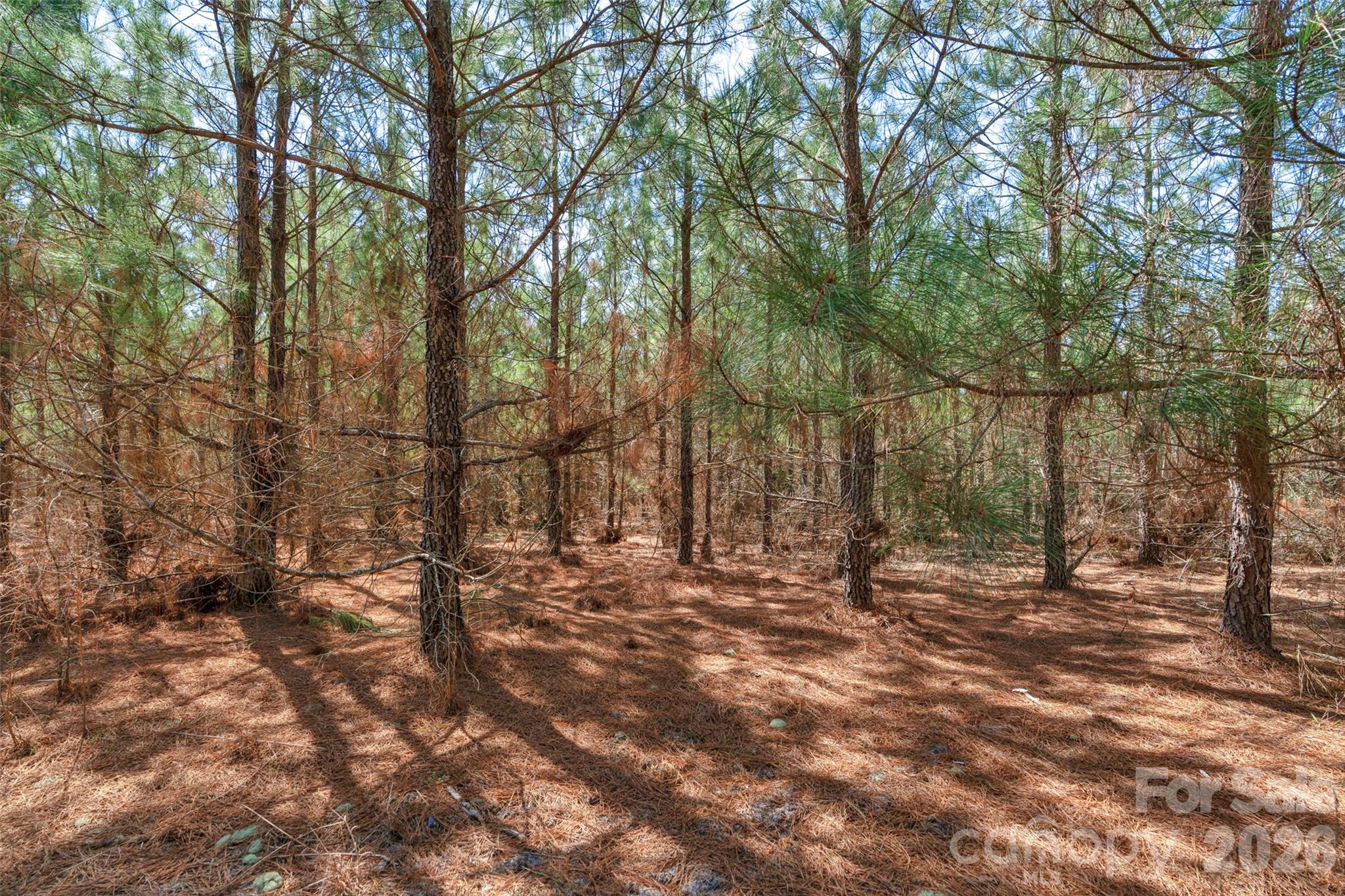 931 Charlie Johnson Road 8 Property Photo 28