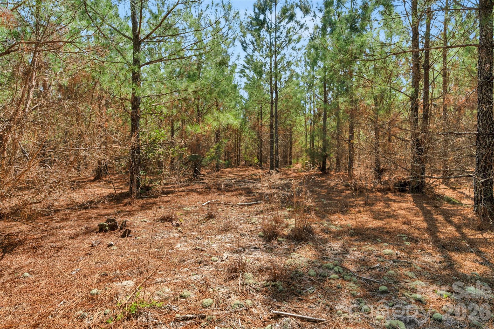 931 Charlie Johnson Road 8 Property Photo 29
