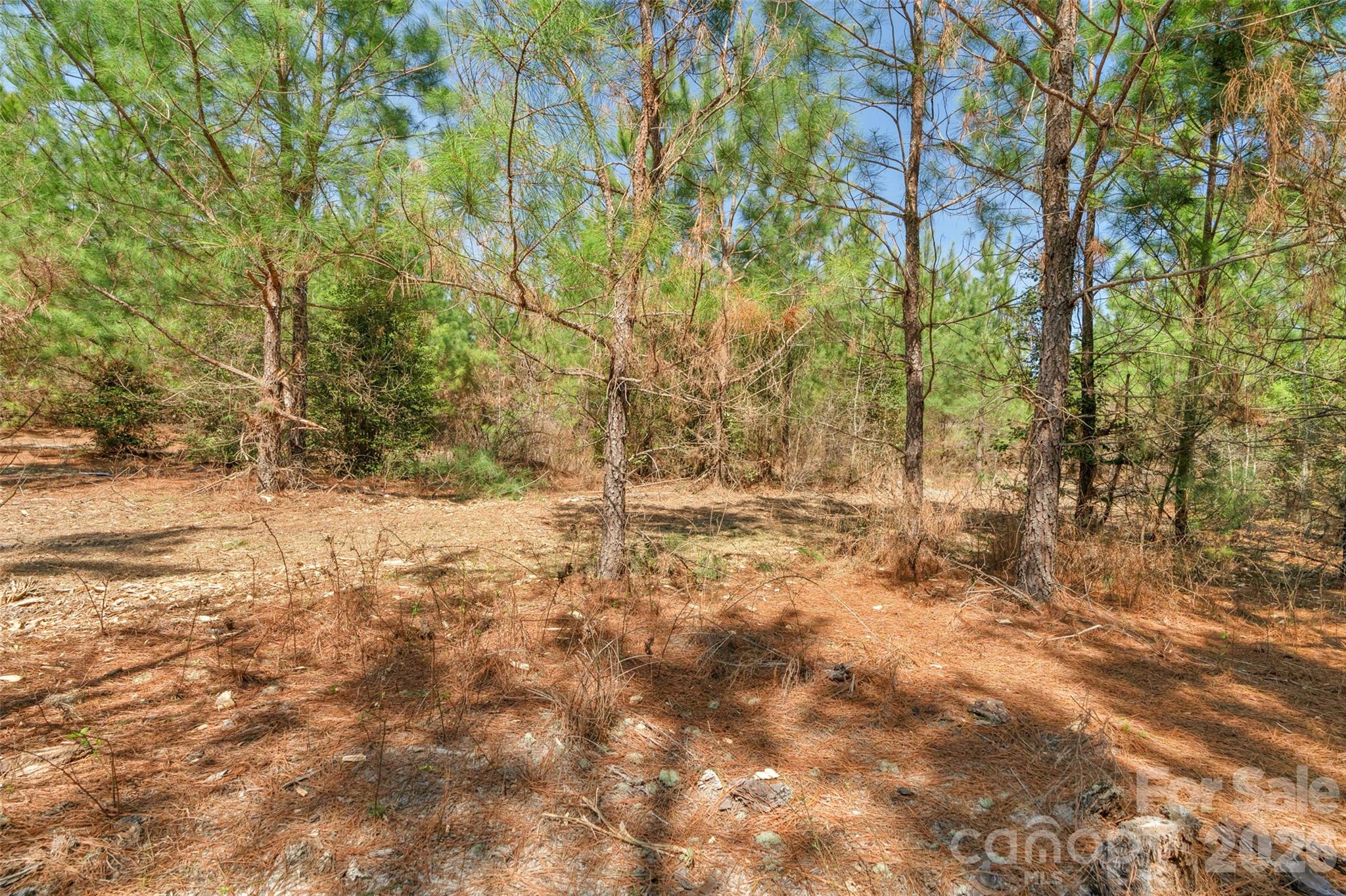 931 Charlie Johnson Road 8 Property Photo 30