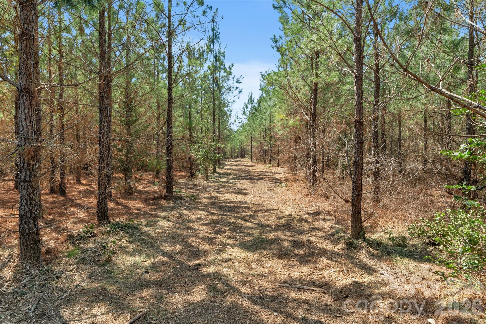 931 Charlie Johnson Road 8 Property Photo 31