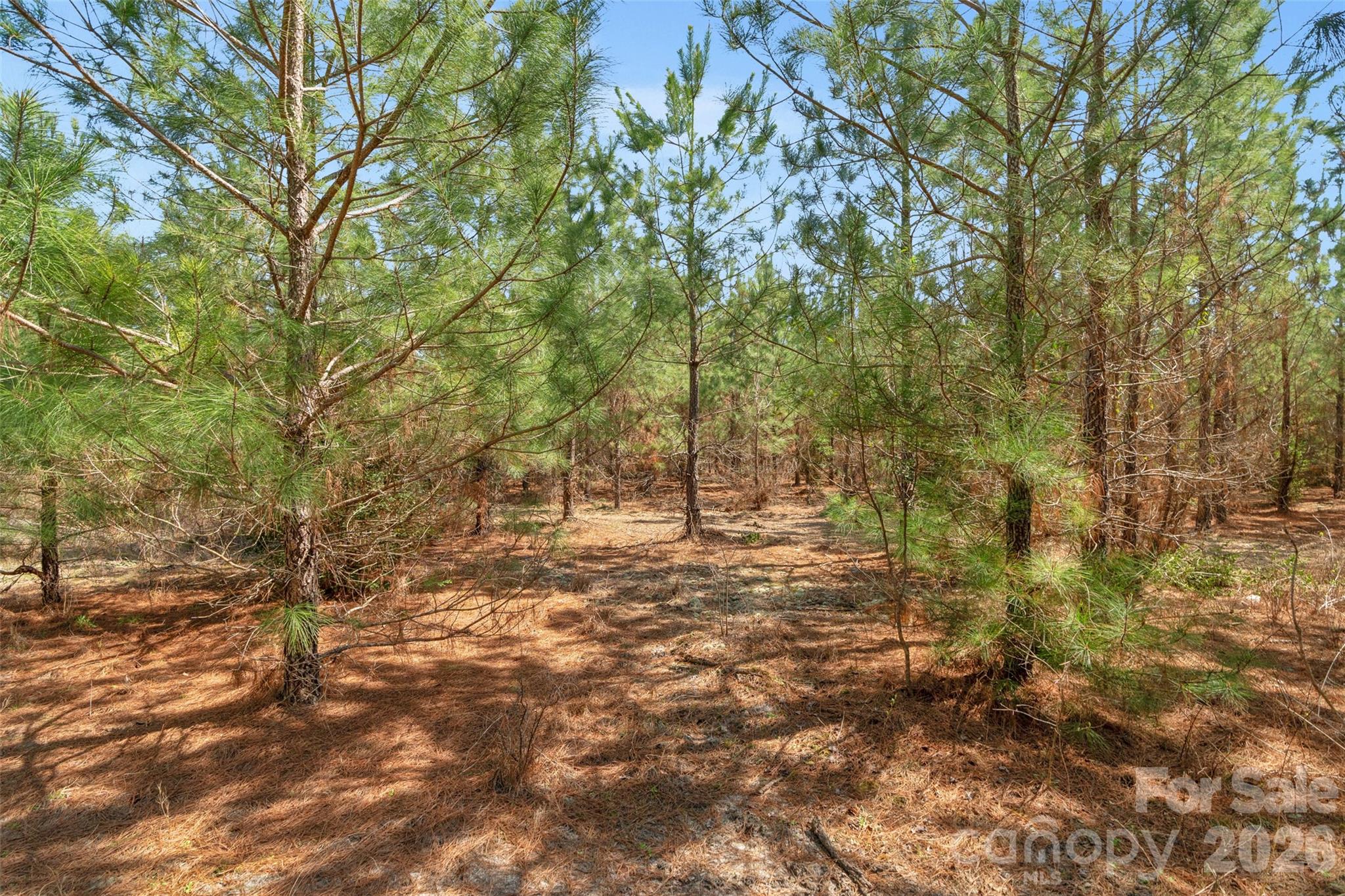 931 Charlie Johnson Road 8 Property Photo 32
