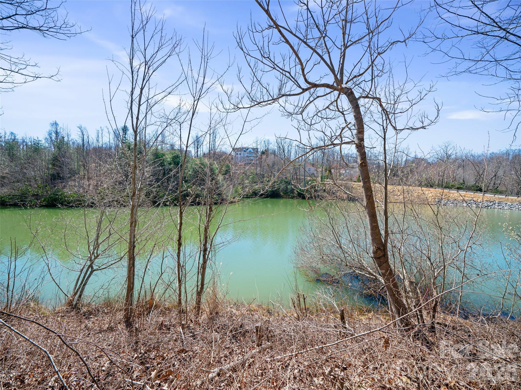 82 Narrows Run Loop Property Photo 3