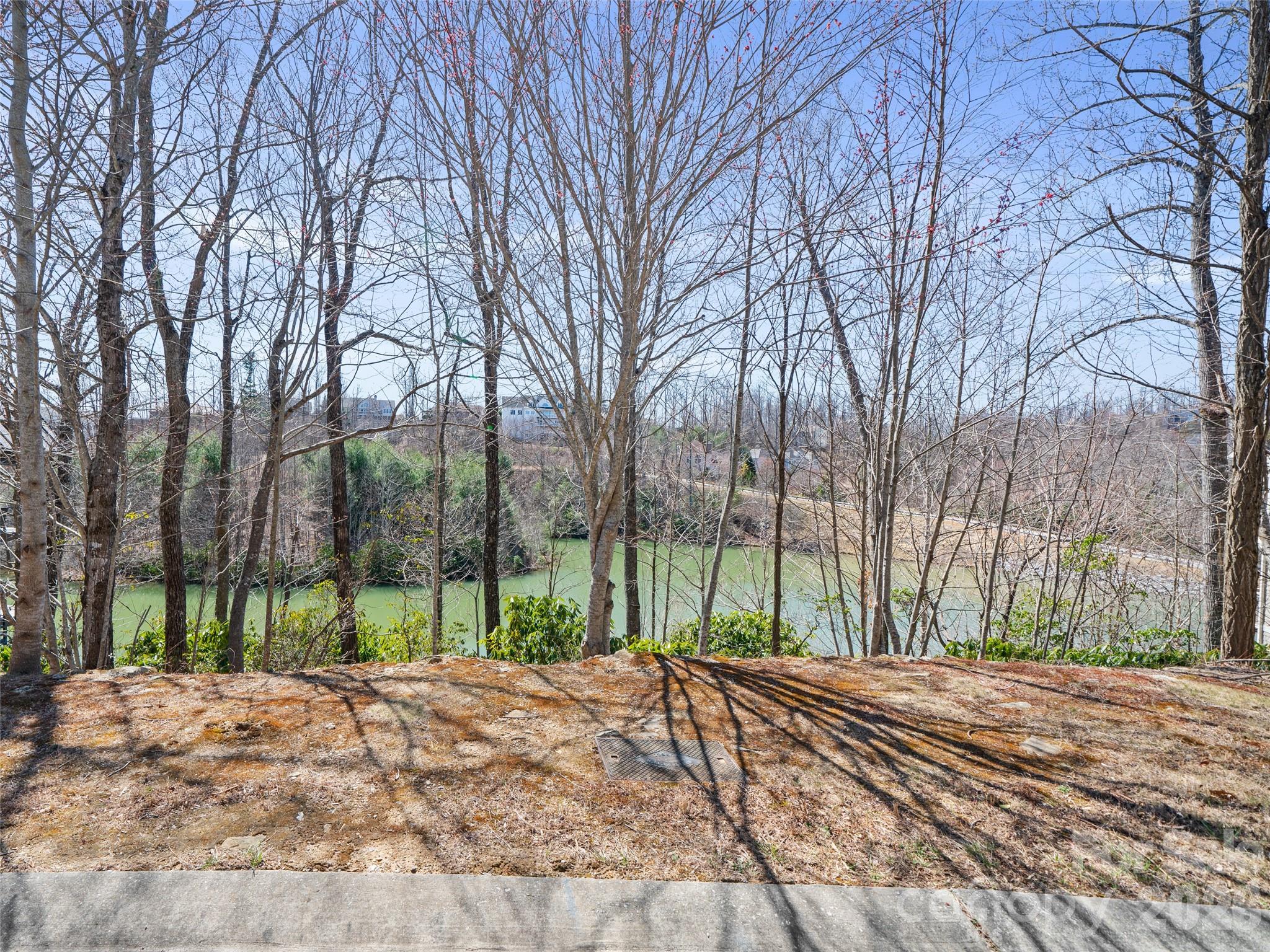 82 Narrows Run Loop Property Photo 4