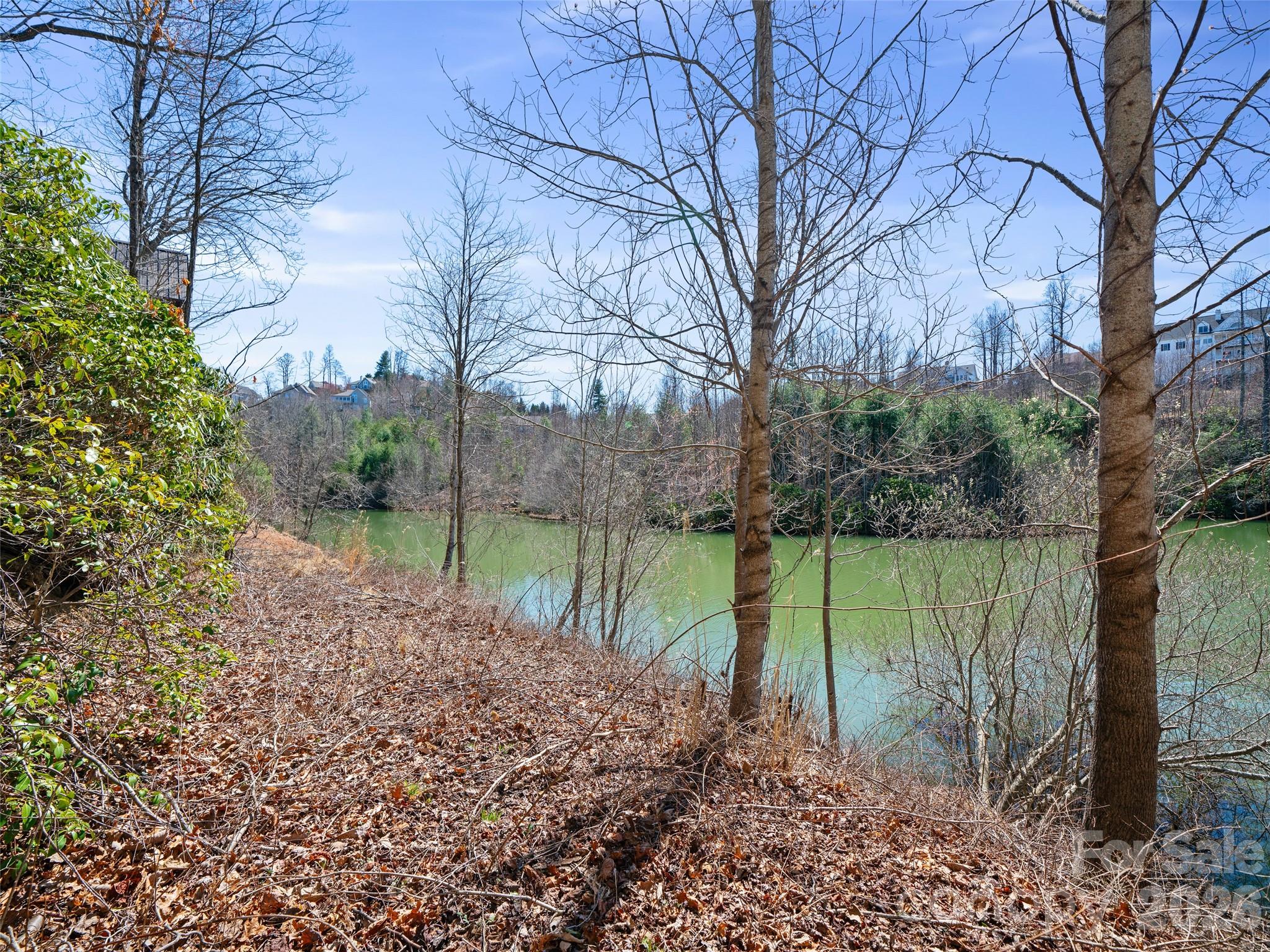 82 Narrows Run Loop Property Photo 5