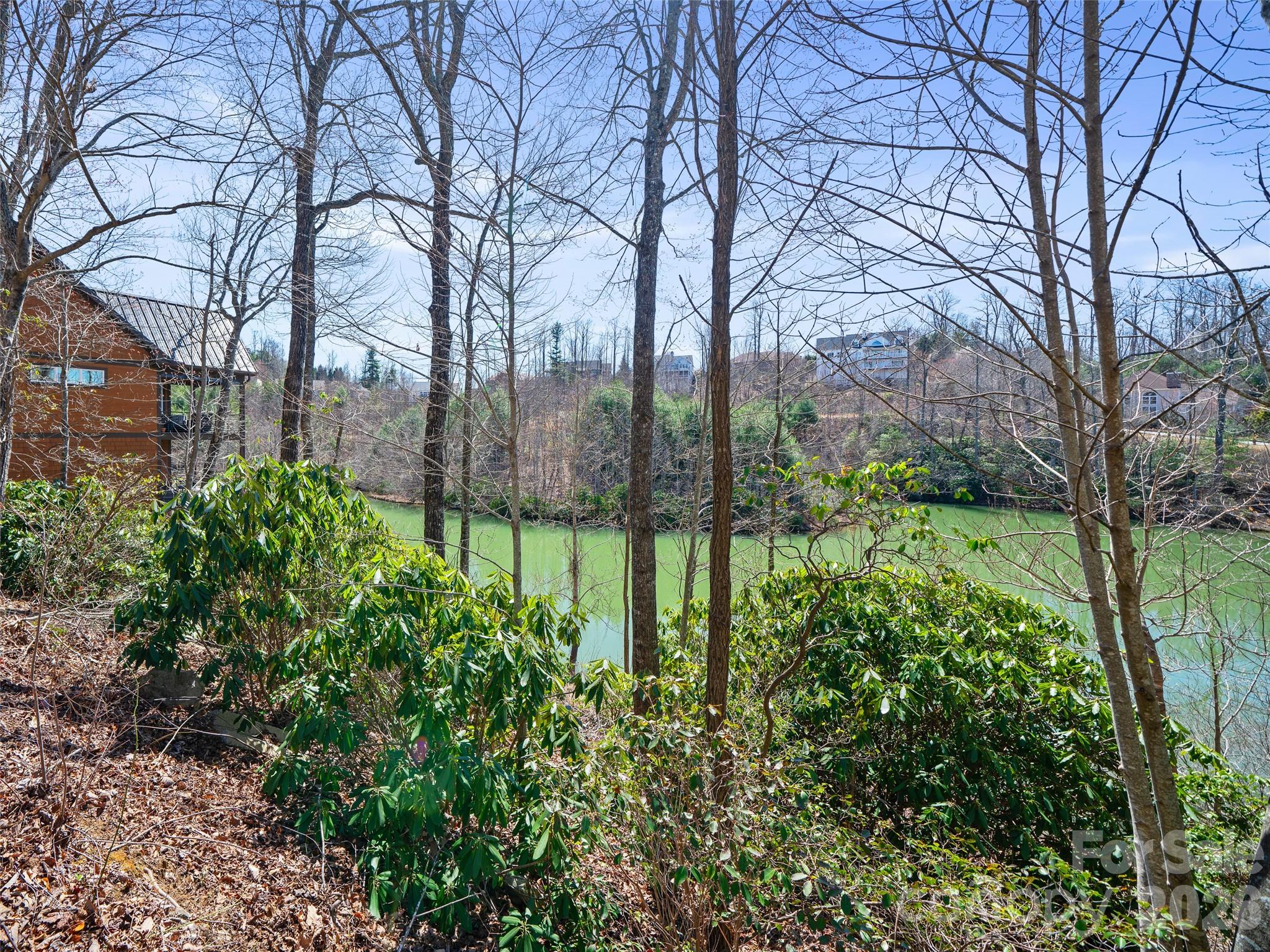 82 Narrows Run Loop Property Photo 6