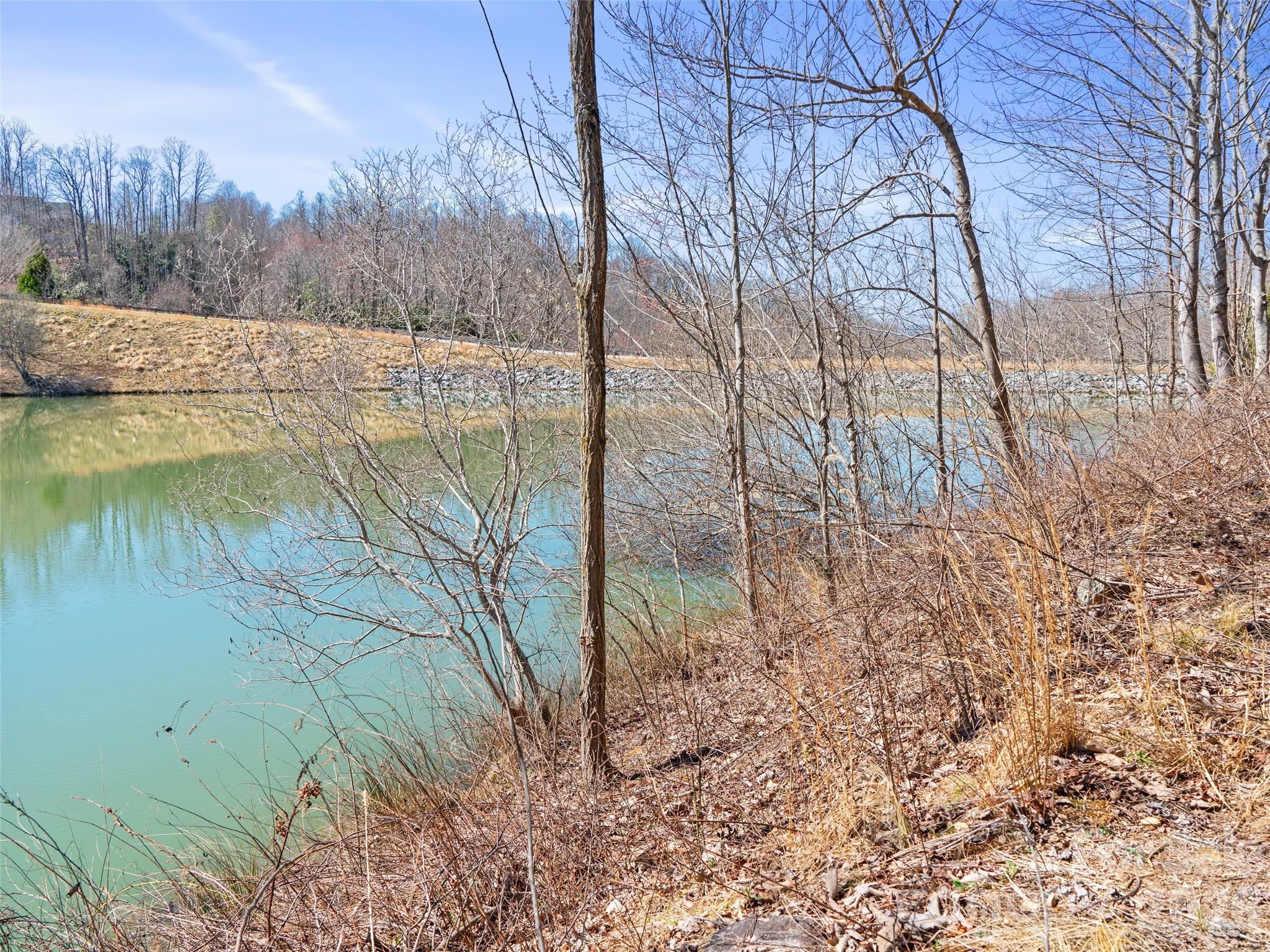 82 Narrows Run Loop Property Photo 11