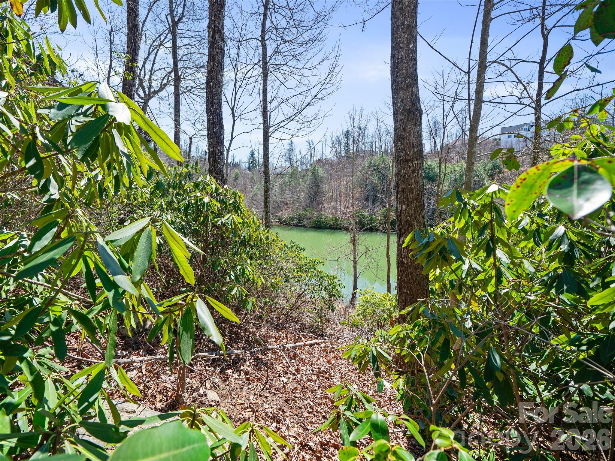 82 Narrows Run Loop Property Photo 12