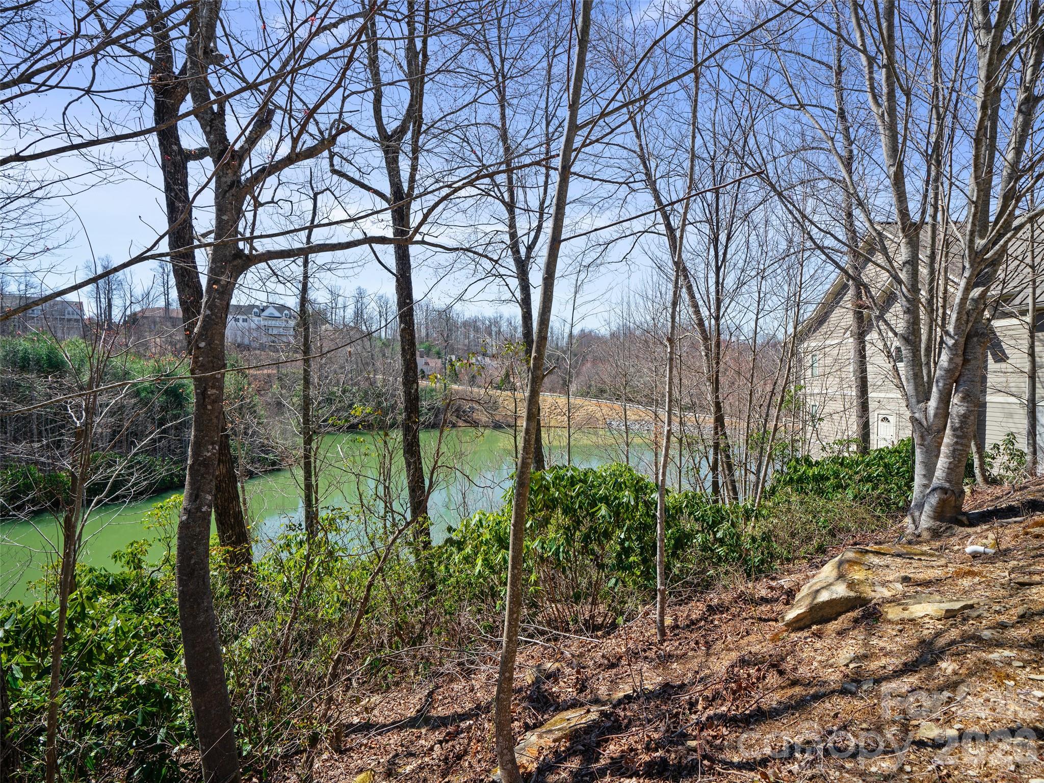 82 Narrows Run Loop Property Photo 13