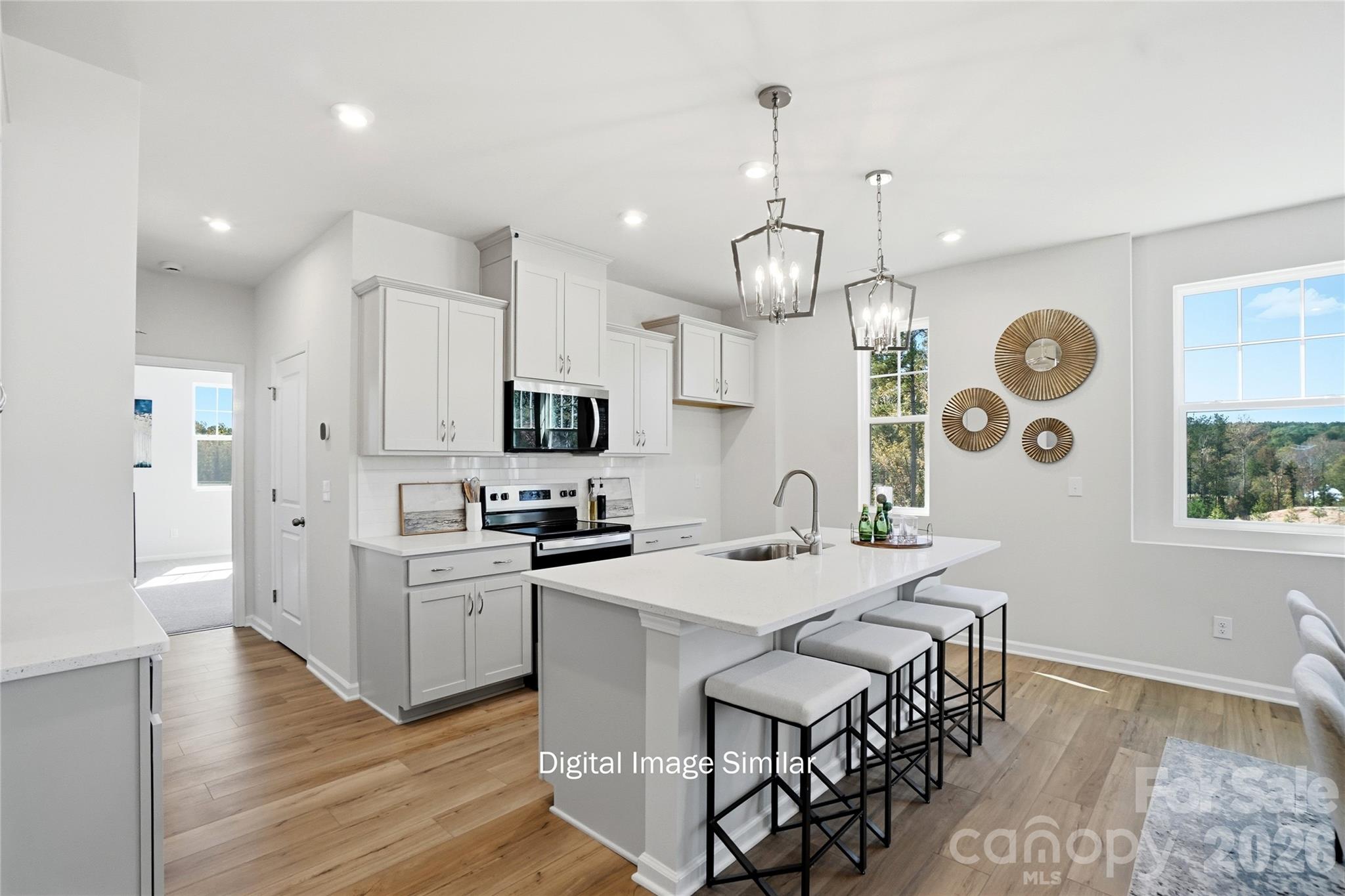 741 Flatiron Drive 156 Property Photo 5