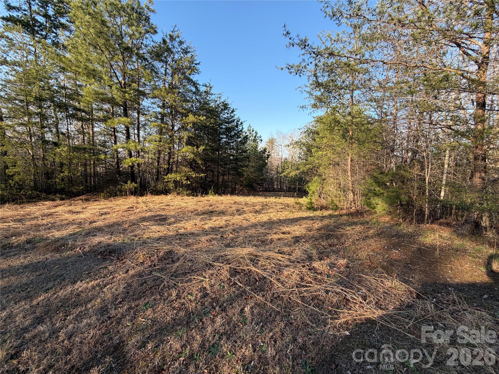 0 Shady Bark Lane 40 Property Photo 1