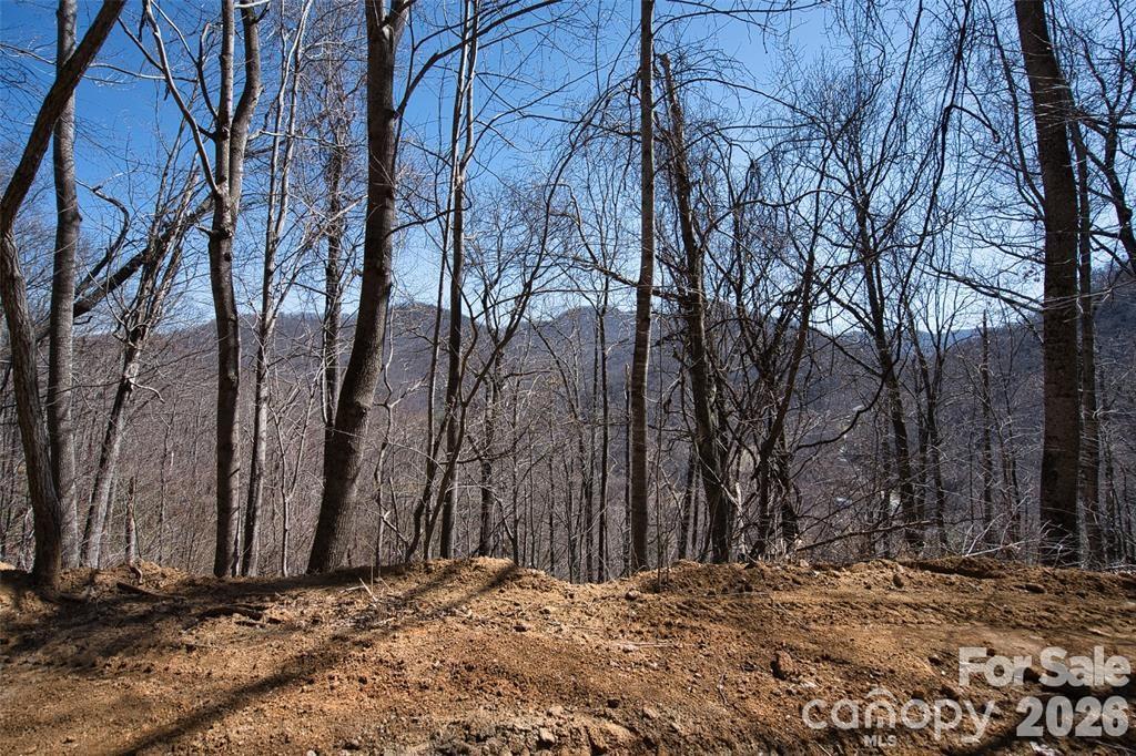 11 Taryn Trace 16 Property Photo 9