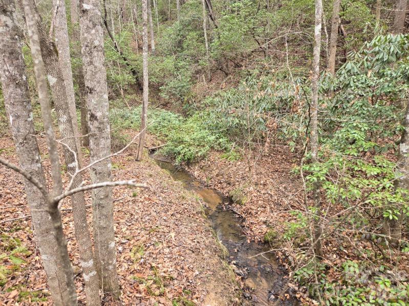 575 Shannons Walk Property Photo 3