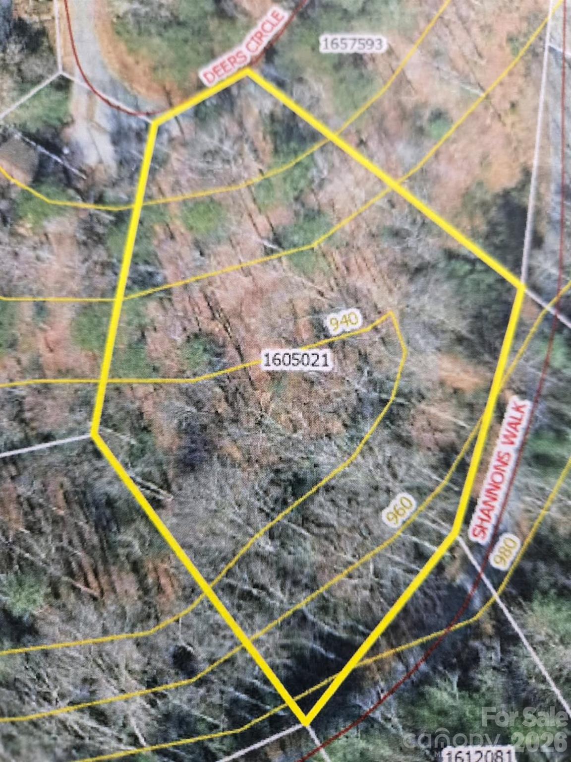 575 Shannons Walk Property Photo 5