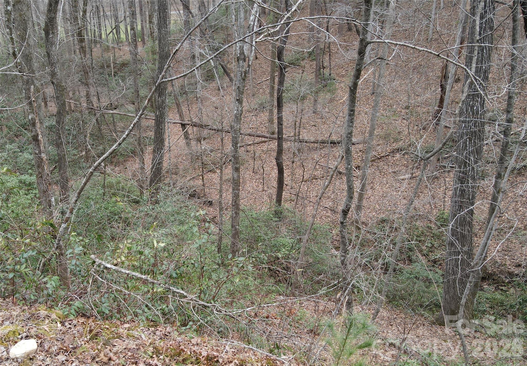575 Shannons Walk Property Photo 7