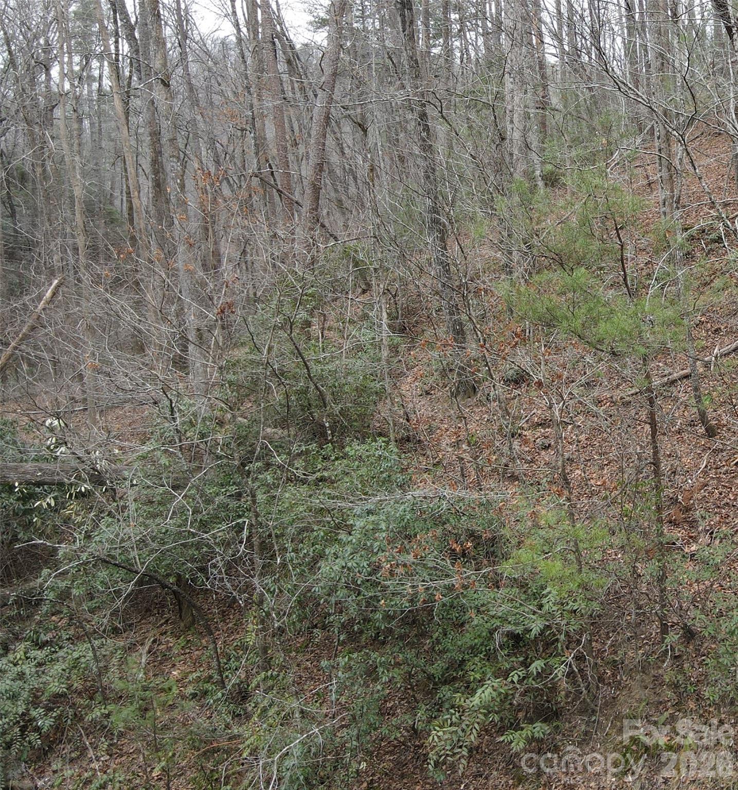 575 Shannons Walk Property Photo 8