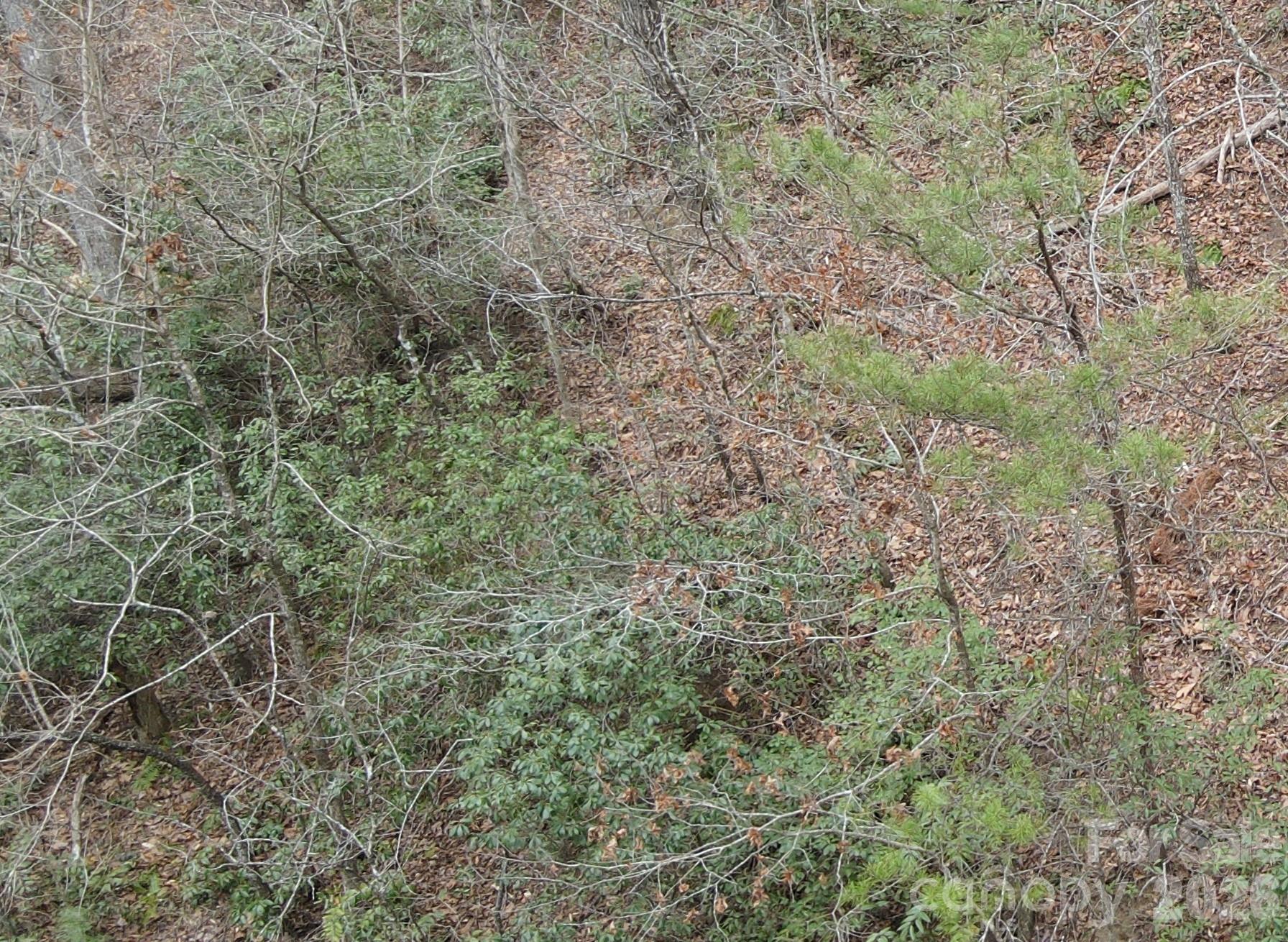 575 Shannons Walk Property Photo 9