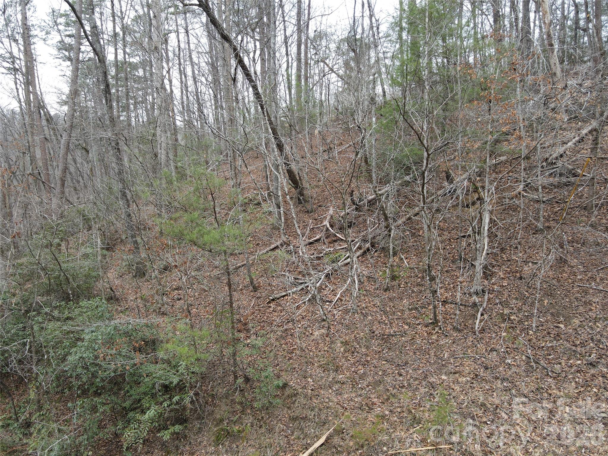 575 Shannons Walk Property Photo 10