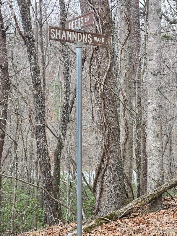 575 Shannons Walk Property Photo 11