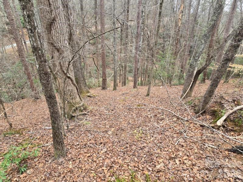 575 Shannons Walk Property Photo 12