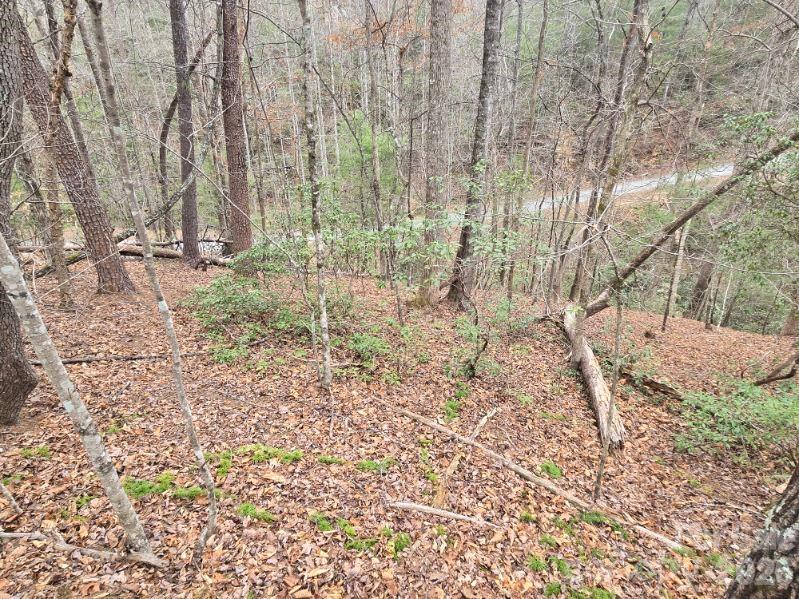575 Shannons Walk Property Photo 13