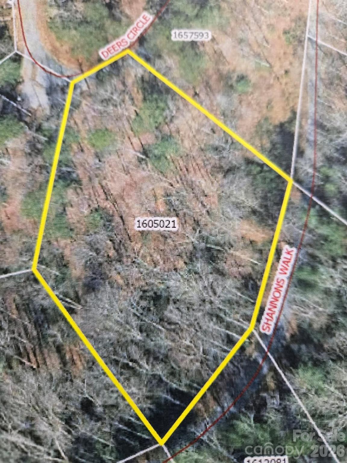 575 Shannons Walk Property Photo 16