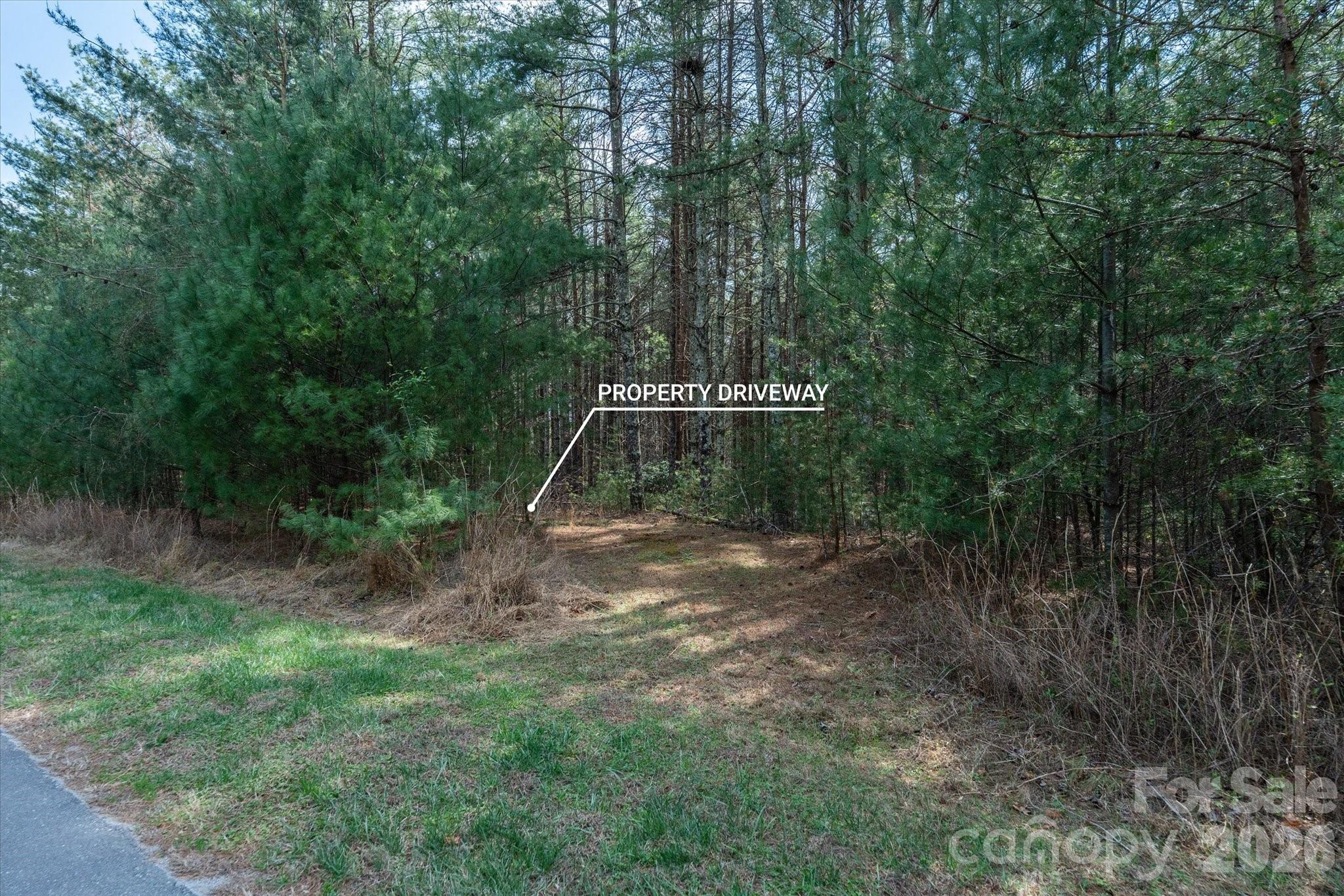 40 Turtle Head Drive Property Photo 8