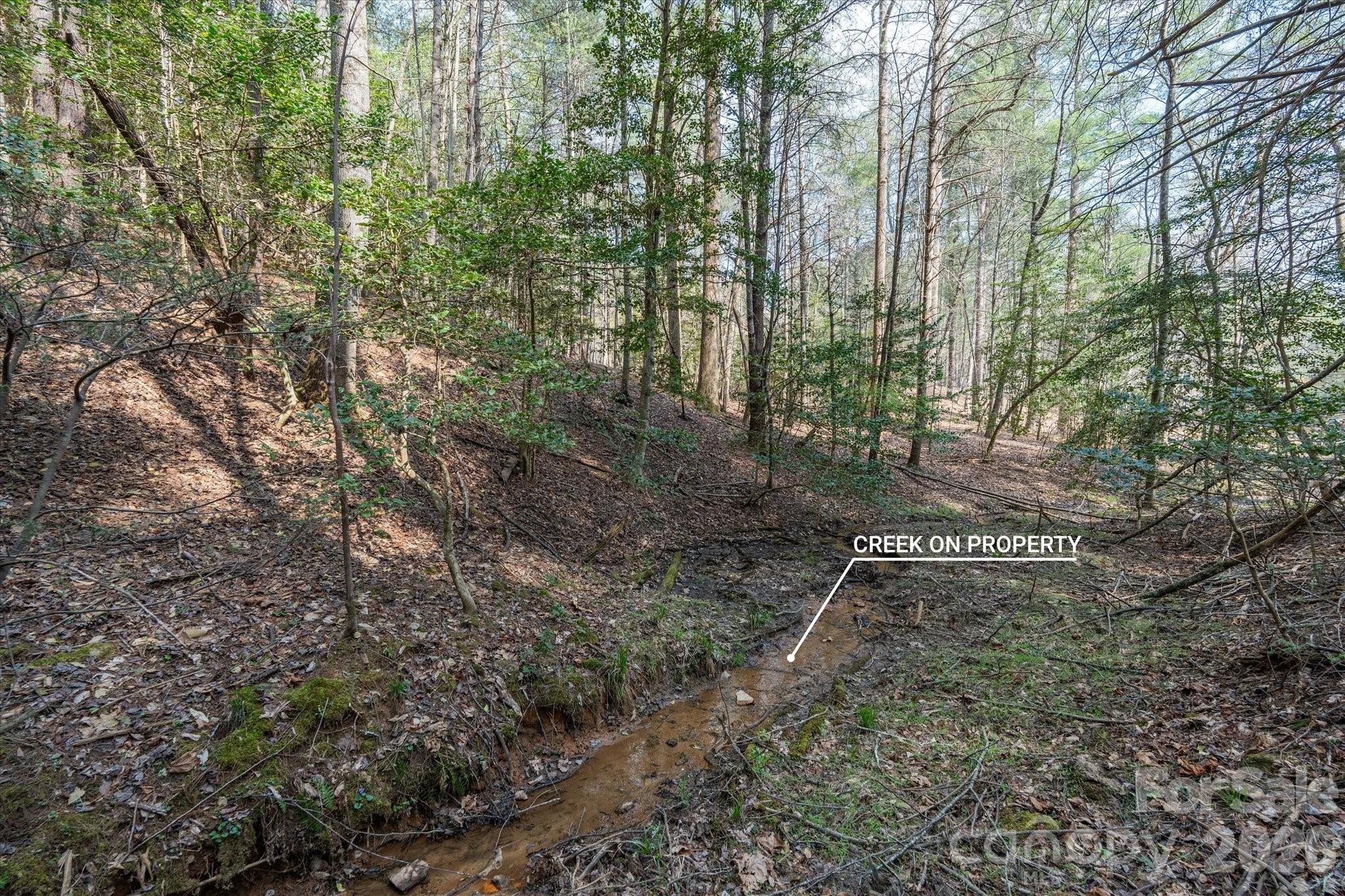 40 Turtle Head Drive Property Photo 12