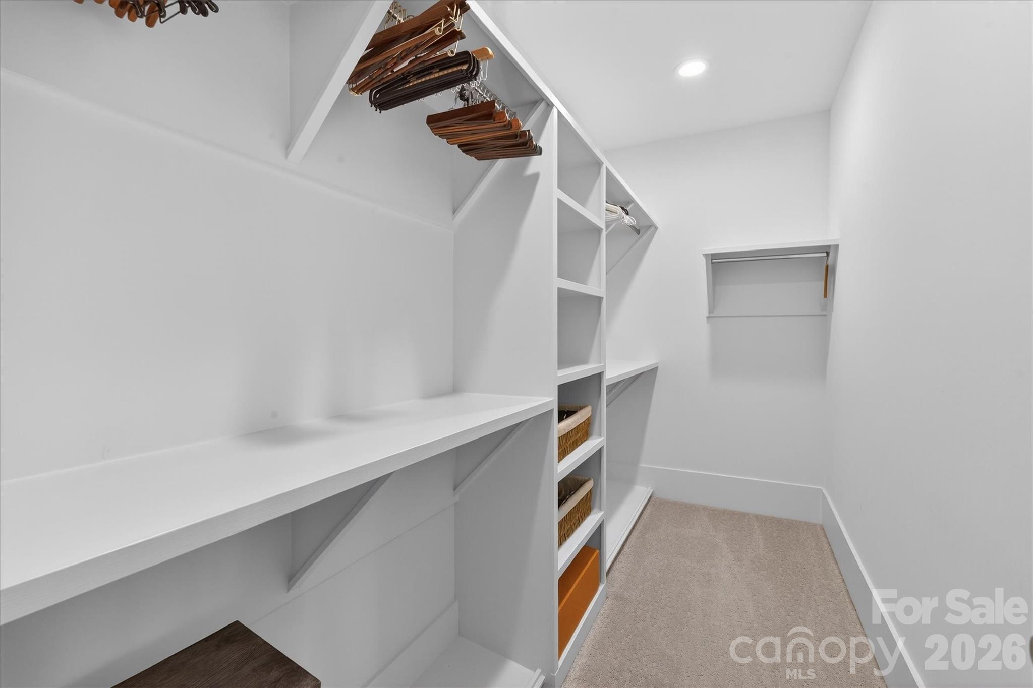 2815 Hillside Springs Drive Property Photo 30