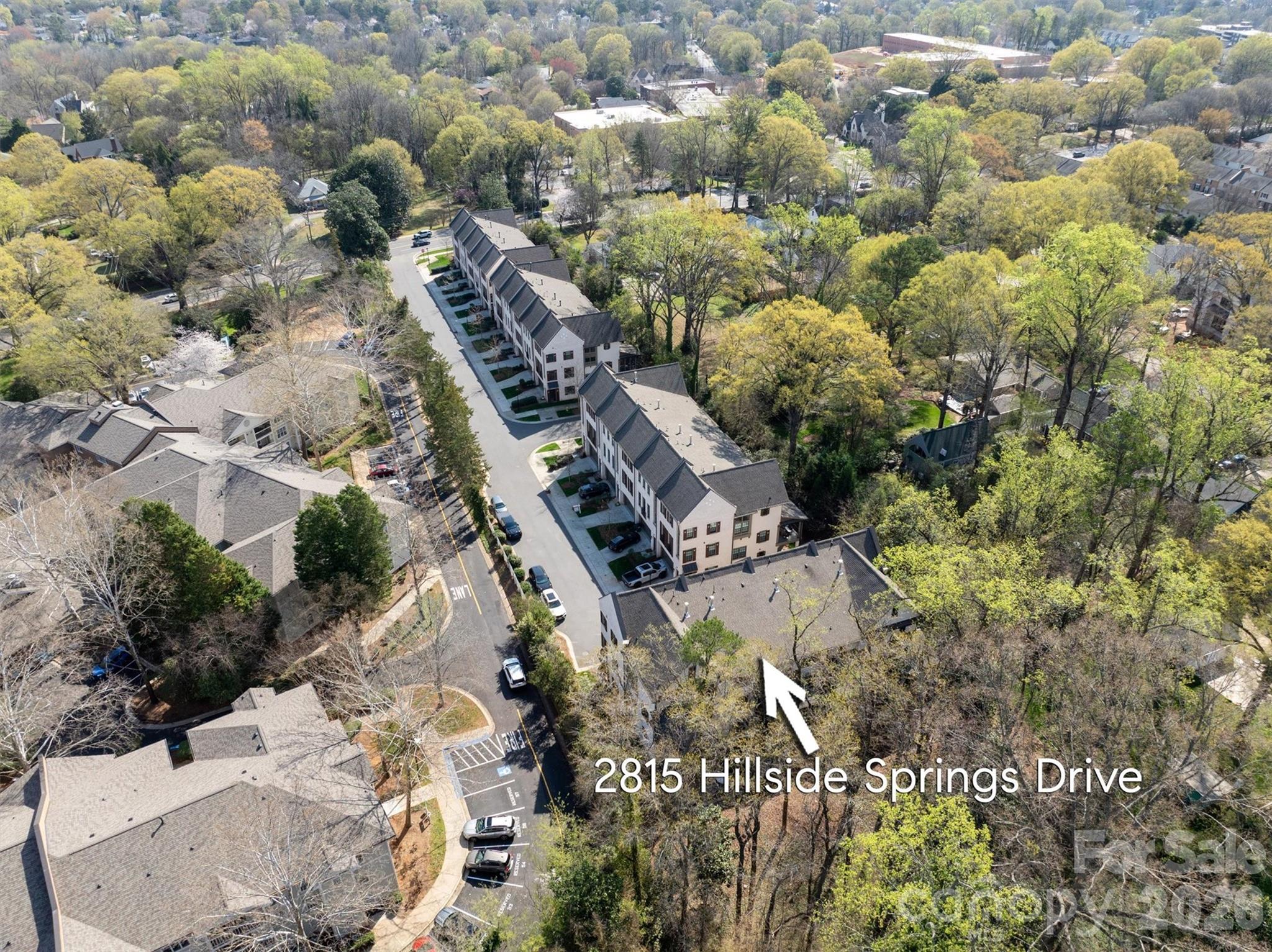 2815 Hillside Springs Drive Property Photo 41
