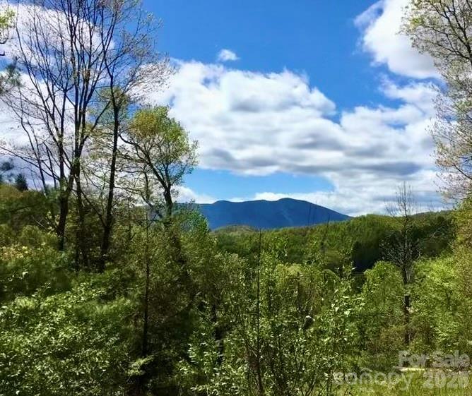 65 Blue Ridge Gem Mine Road Property Photo 2