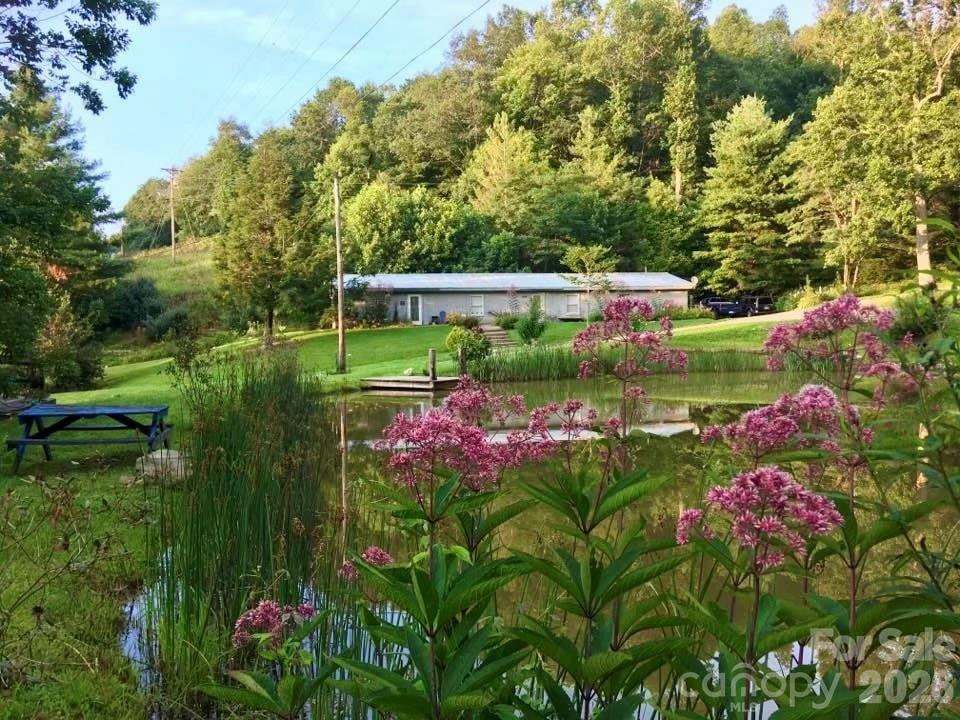 65 Blue Ridge Gem Mine Road Property Photo 5