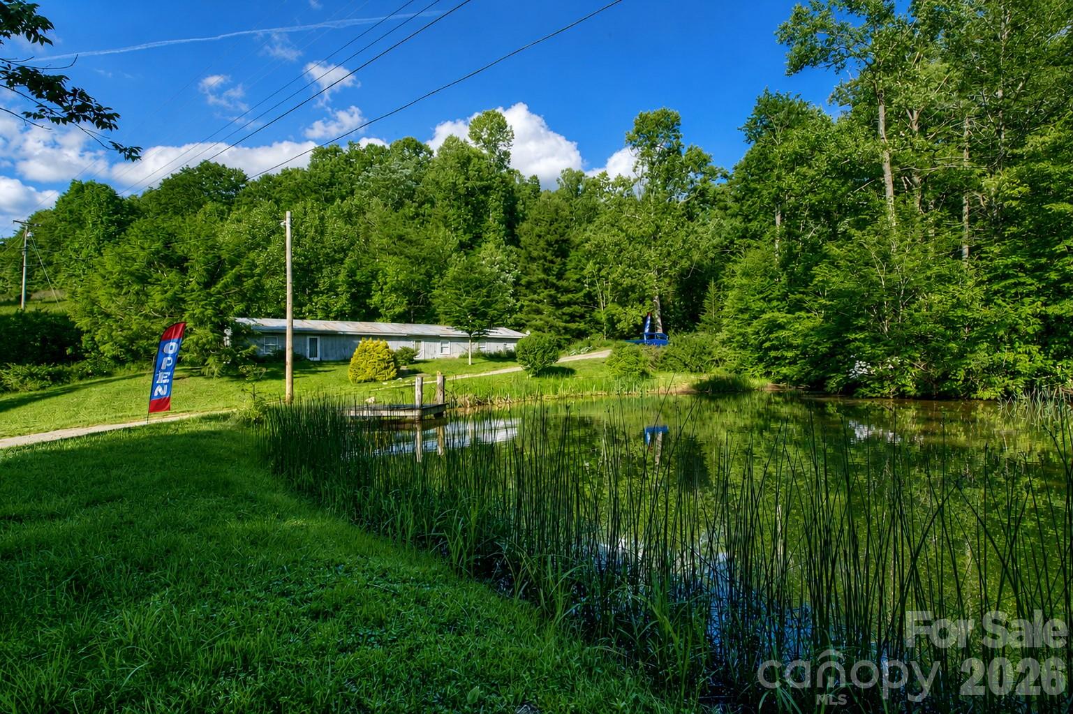 65 Blue Ridge Gem Mine Road Property Photo 6
