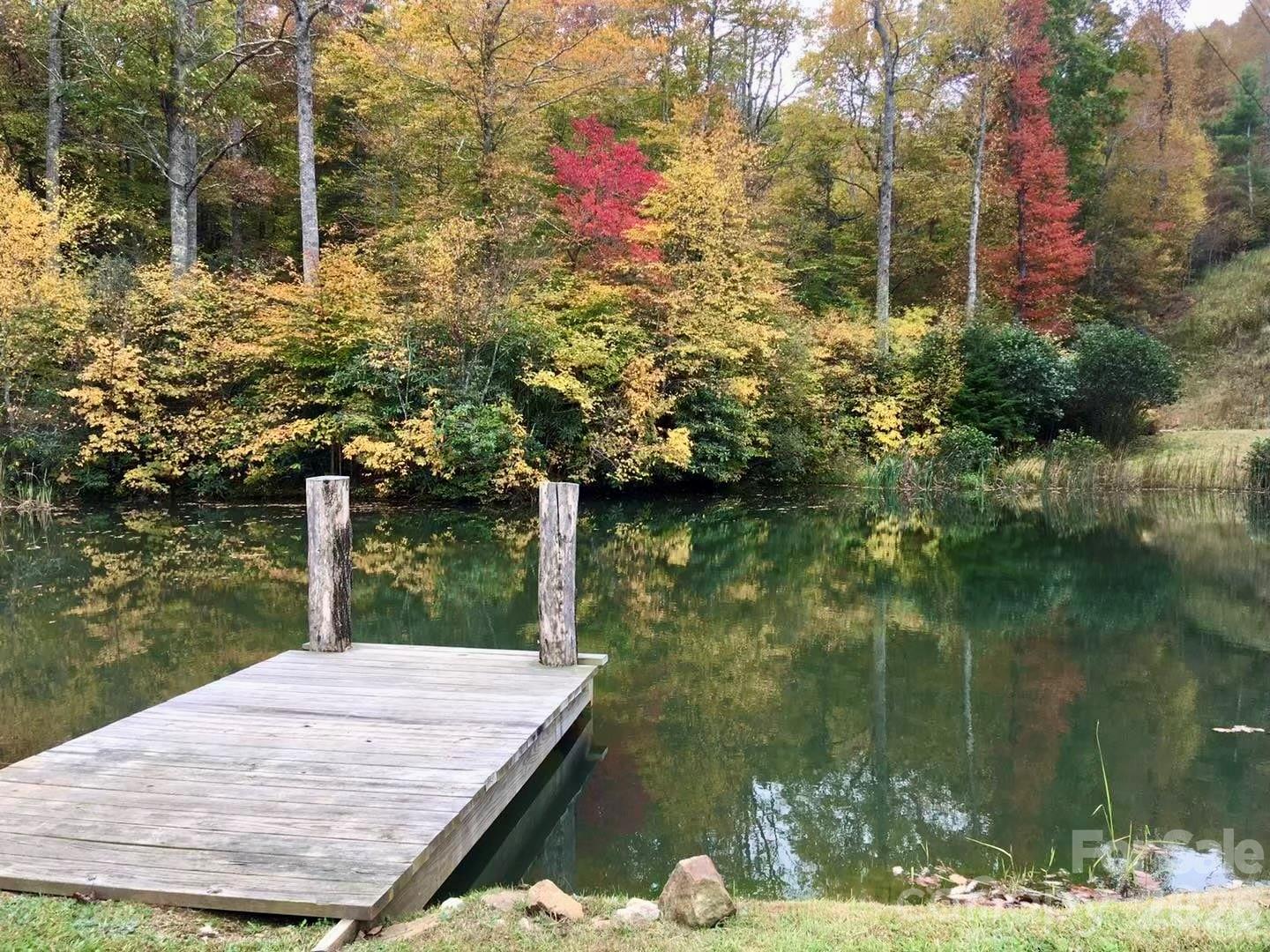 65 Blue Ridge Gem Mine Road Property Photo 7