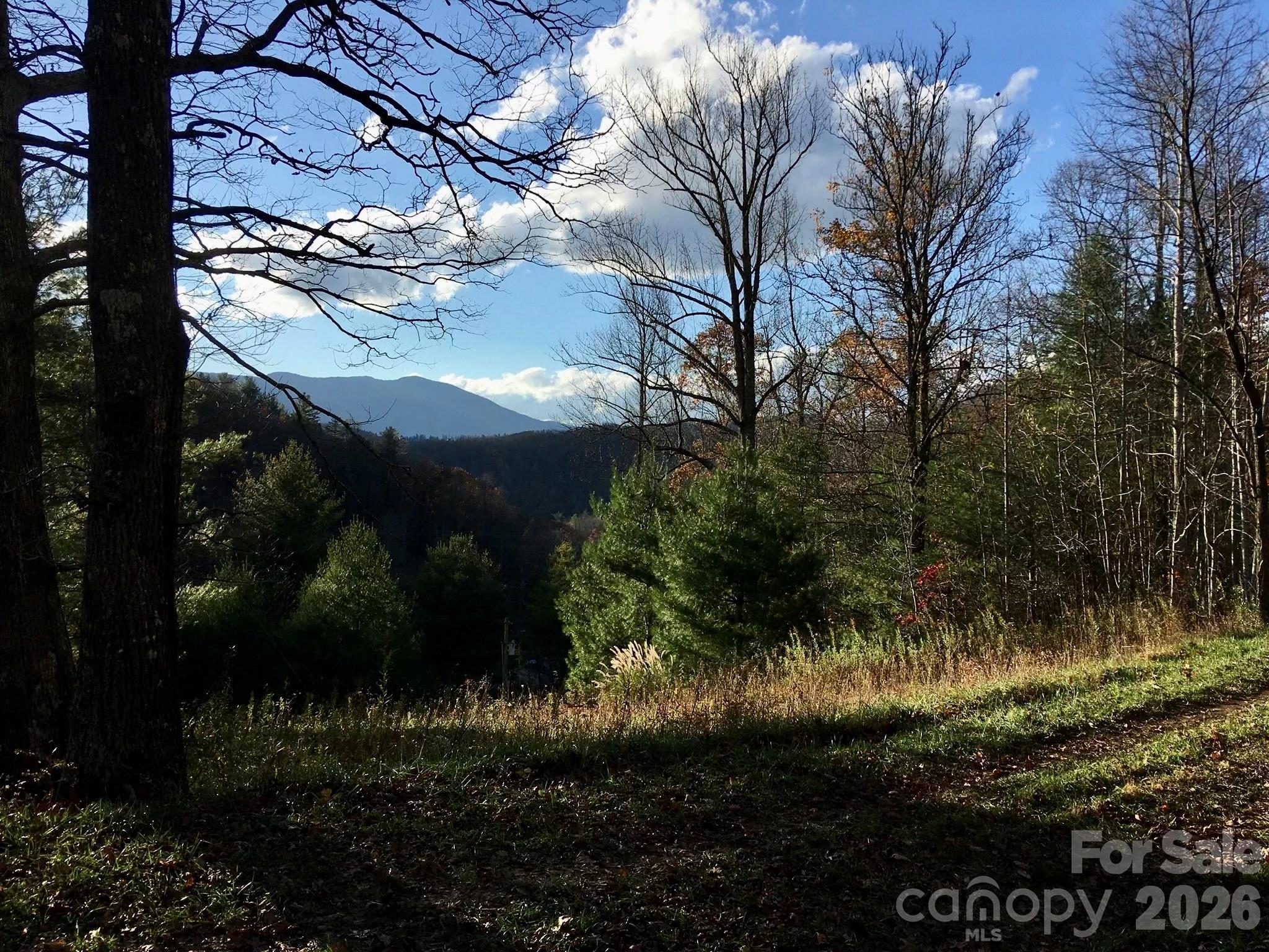 65 Blue Ridge Gem Mine Road Property Photo 9