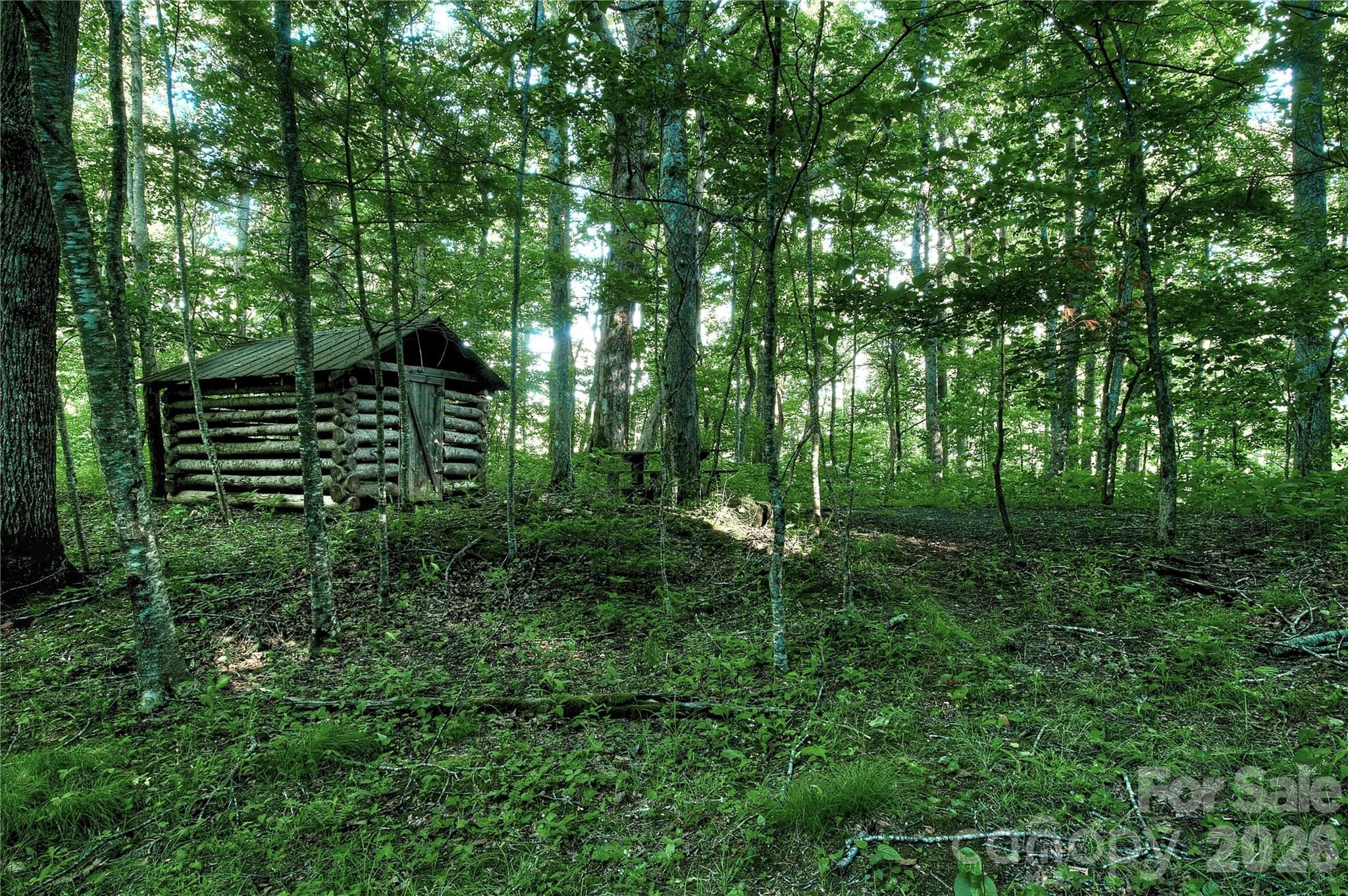 65 Blue Ridge Gem Mine Road Property Photo 12