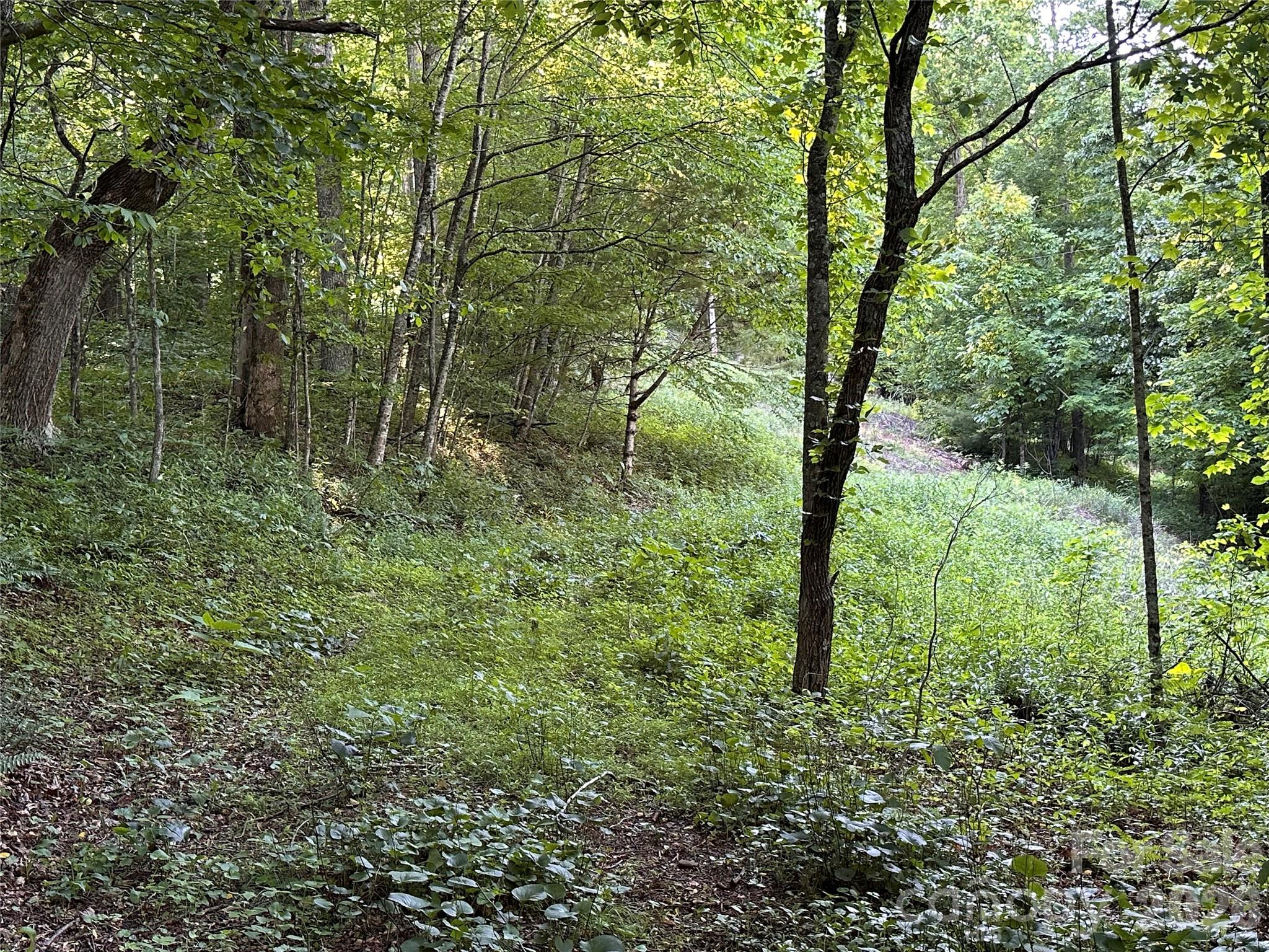 65 Blue Ridge Gem Mine Road Property Photo 13