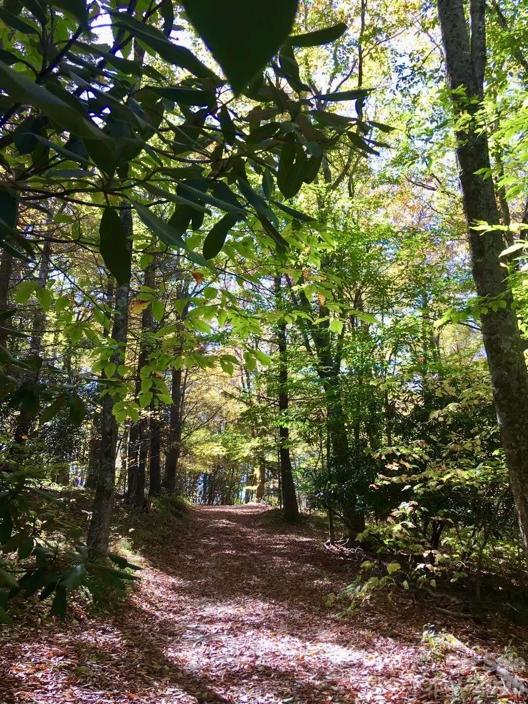 65 Blue Ridge Gem Mine Road Property Photo 17