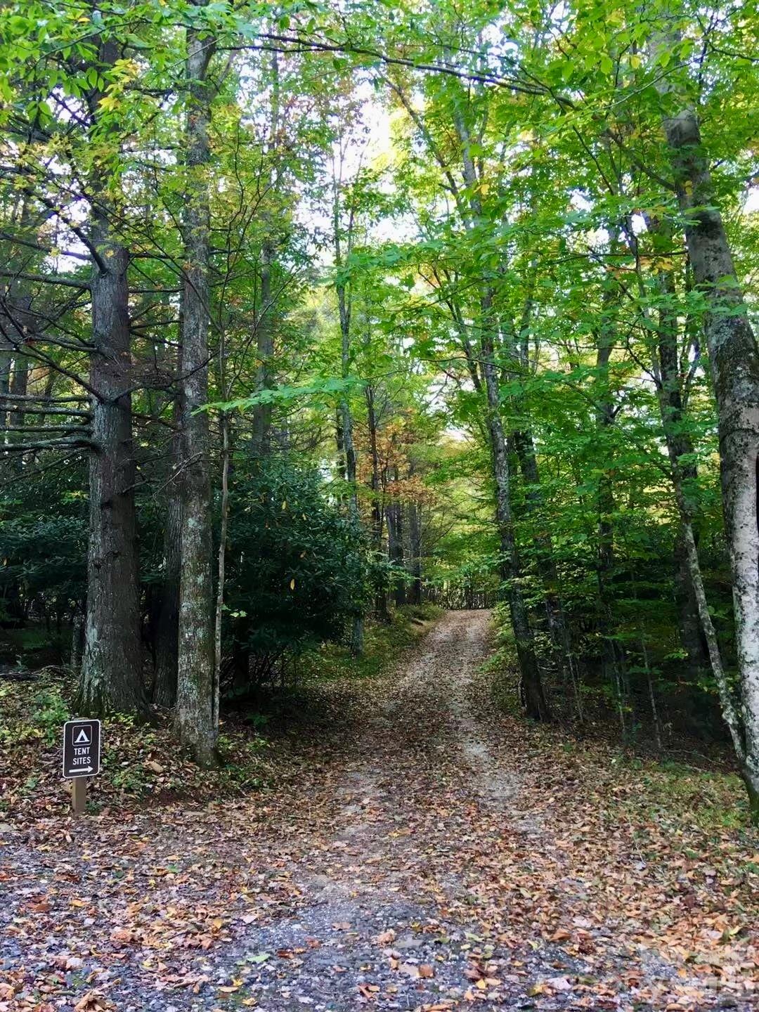 65 Blue Ridge Gem Mine Road Property Photo 19