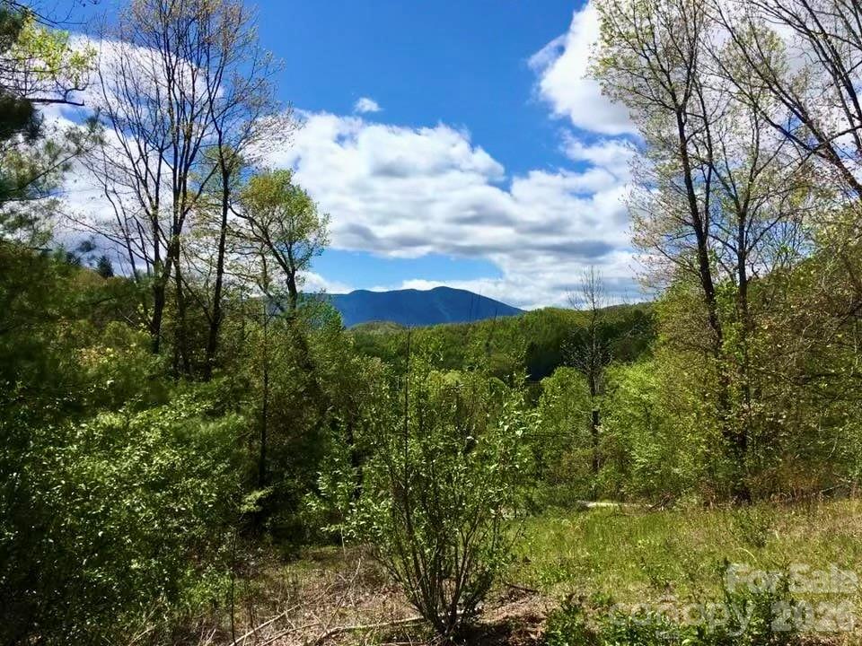 65 Blue Ridge Gem Mine Road Property Photo 20
