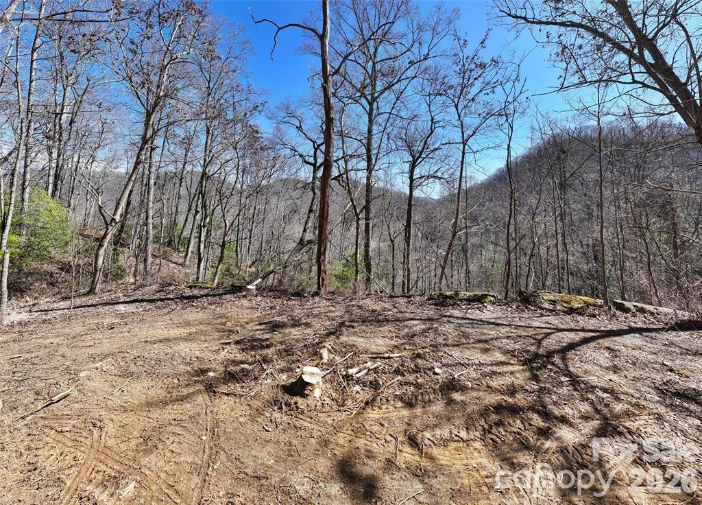 99999 Green Ridge Falls Road 17 Property Photo 2