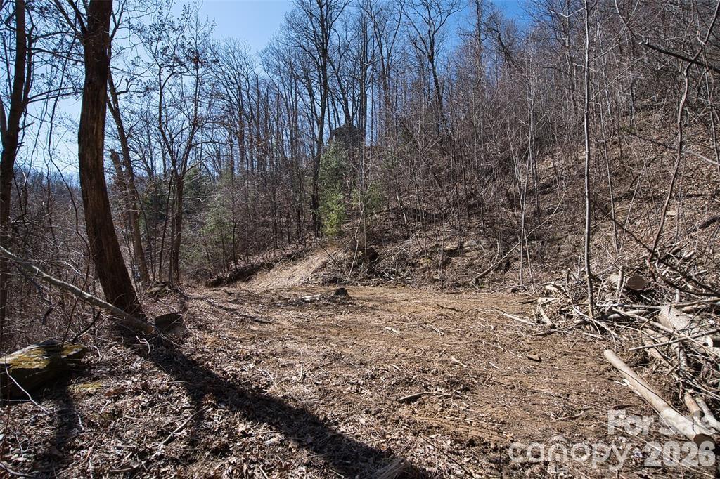 99999 Green Ridge Falls Road 17 Property Photo 3