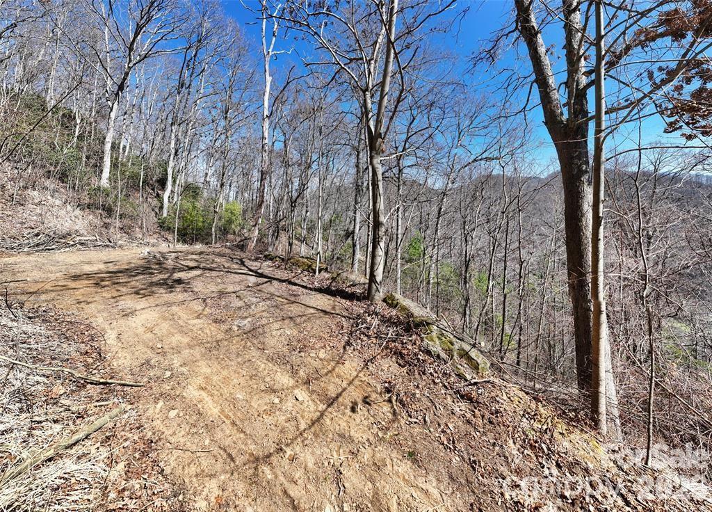 99999 Green Ridge Falls Road 17 Property Photo 4