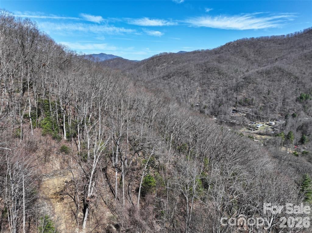 99999 Green Ridge Falls Road 17 Property Photo 11