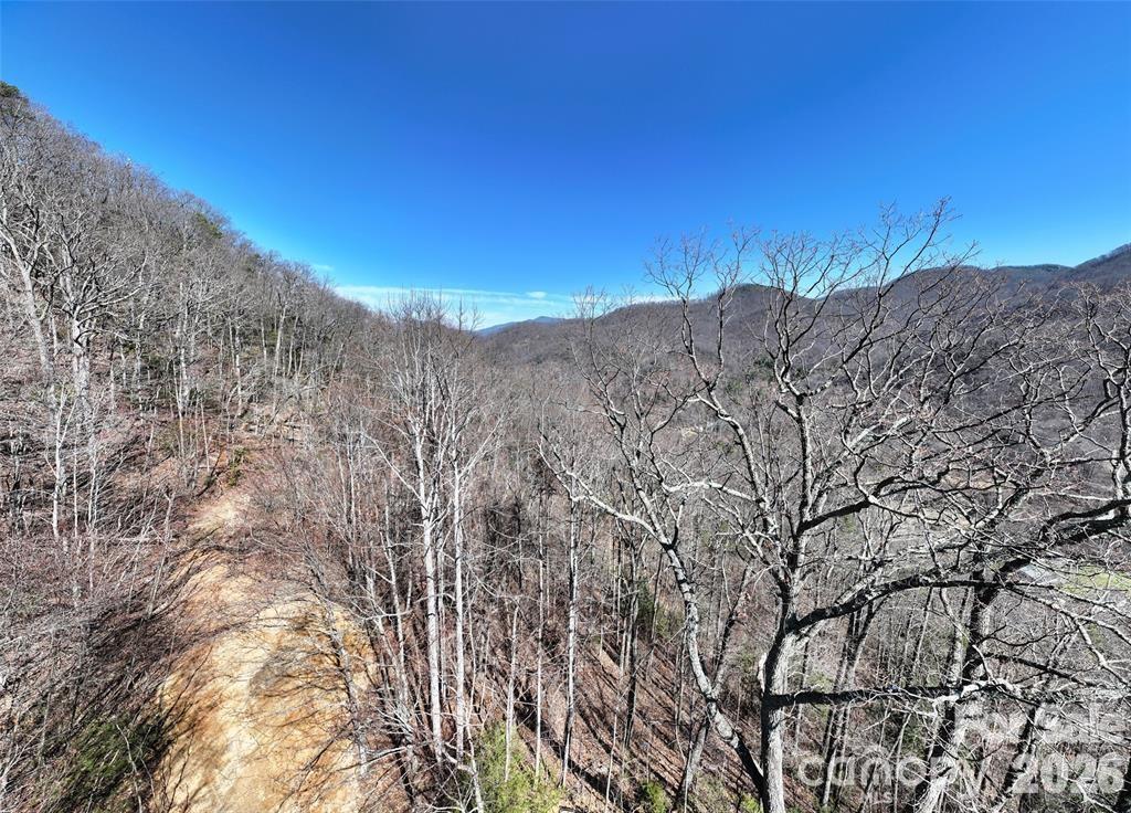 99999 Green Ridge Falls Road 17 Property Photo 13