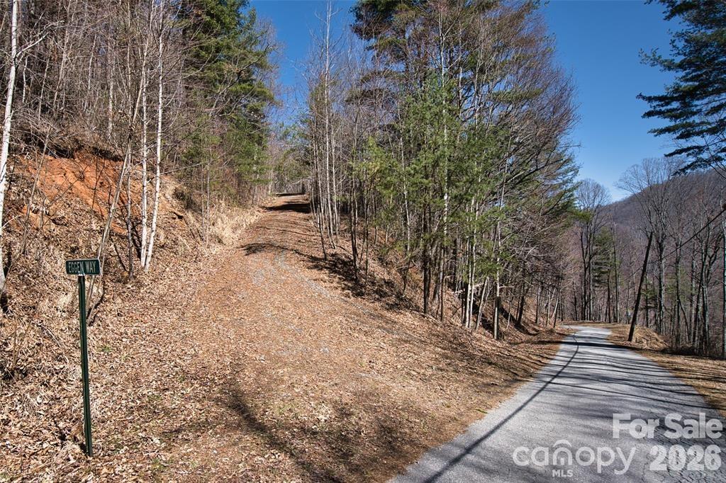 99999 Green Ridge Falls Road 17 Property Photo 15