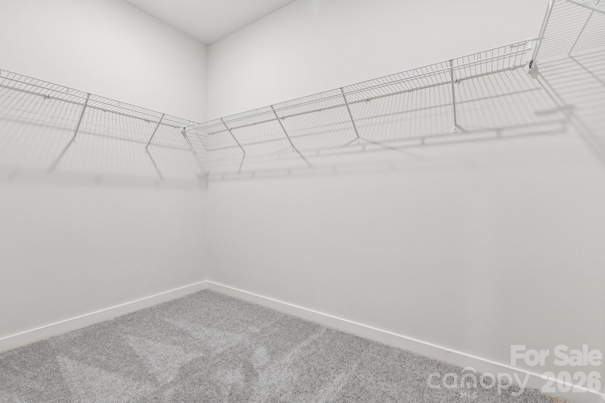 10011 Manor Vista Trail Property Photo 17