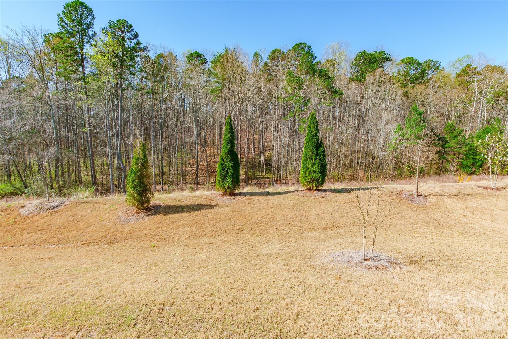 115 Hadley Court Property Photo 38