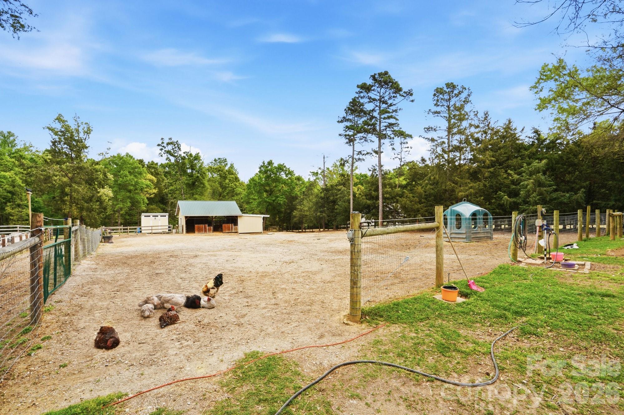 5508 Mcwhorter Road Property Photo 8