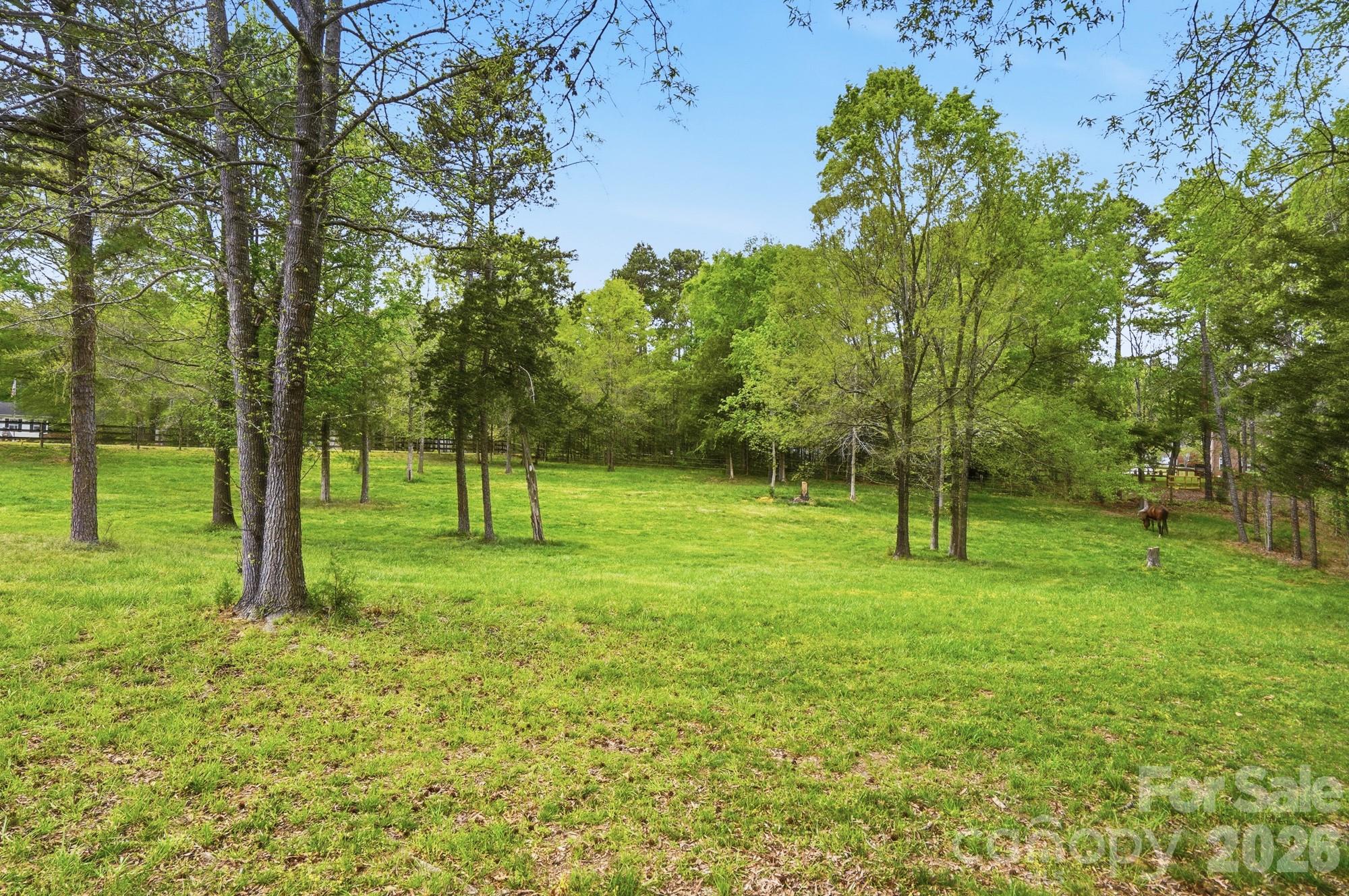5508 Mcwhorter Road Property Photo 11